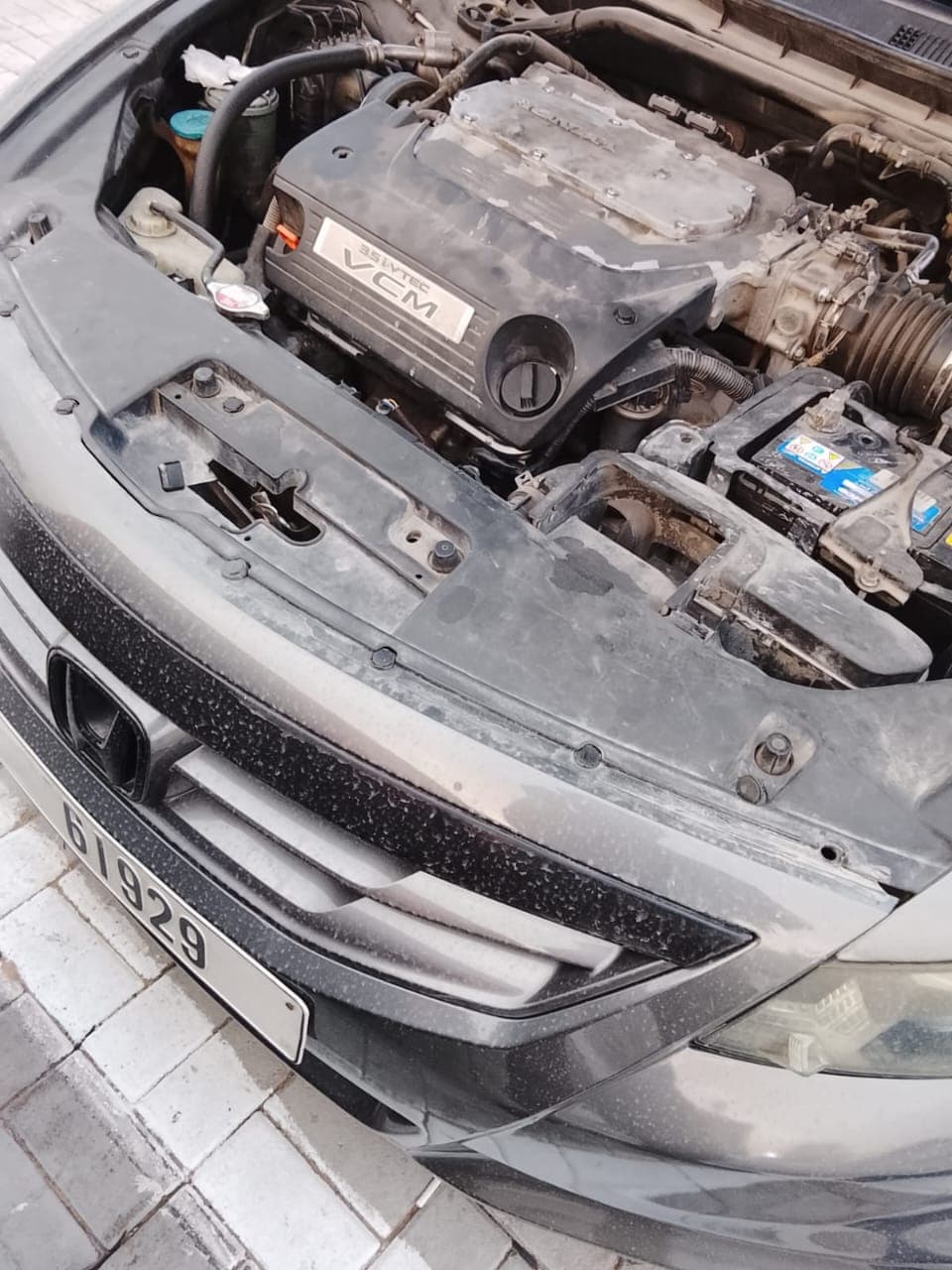 Starter Motor Repair in Deira